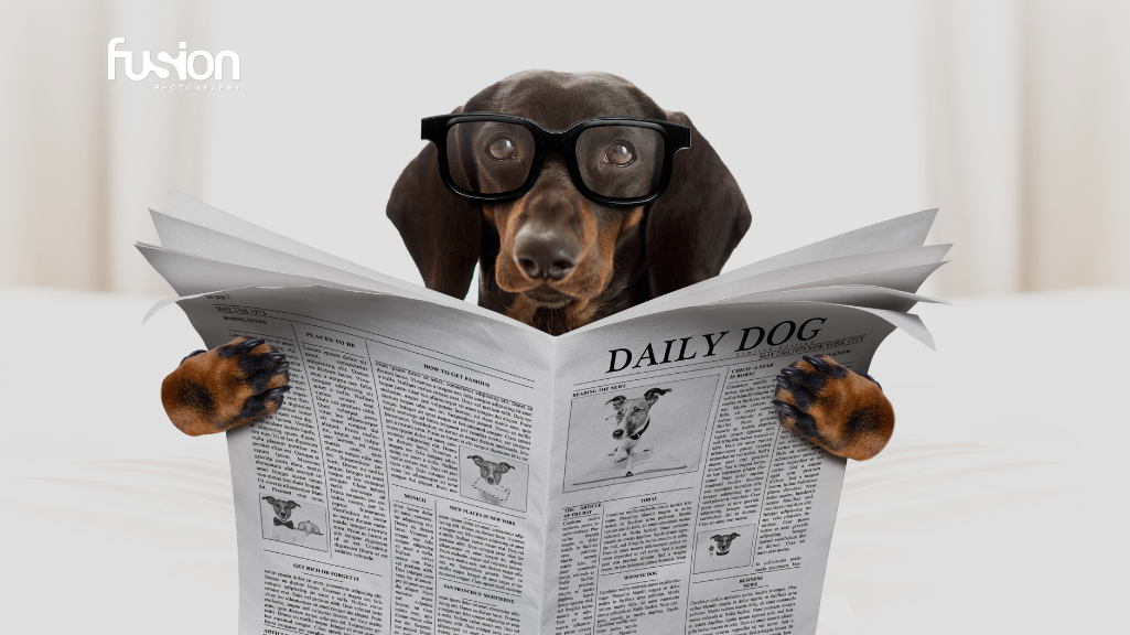 dog is reading news paper
